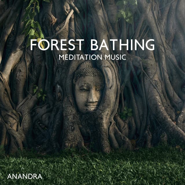 Forest Bathing Meditation Music: Shinrin-Yoku, Sink into Nature, Increase Happiness, Health, Vitality - Anandra
