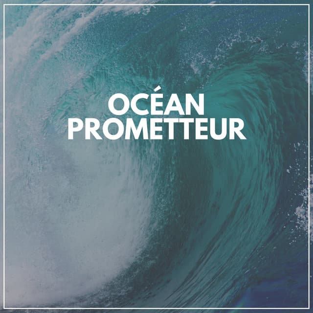 Océan prometteur - Oasis de sommeil