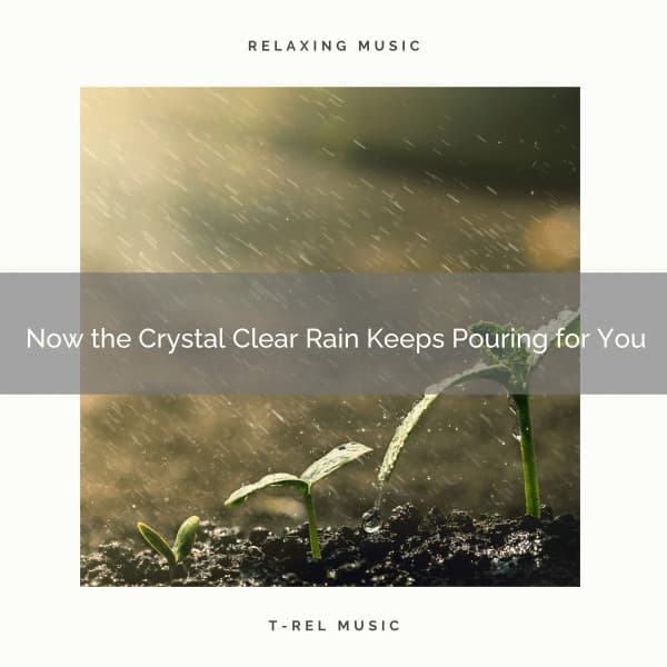 2020 Best: Now the Crystal Clear Rain Keeps Pouring for You - Rain Noise Sleep