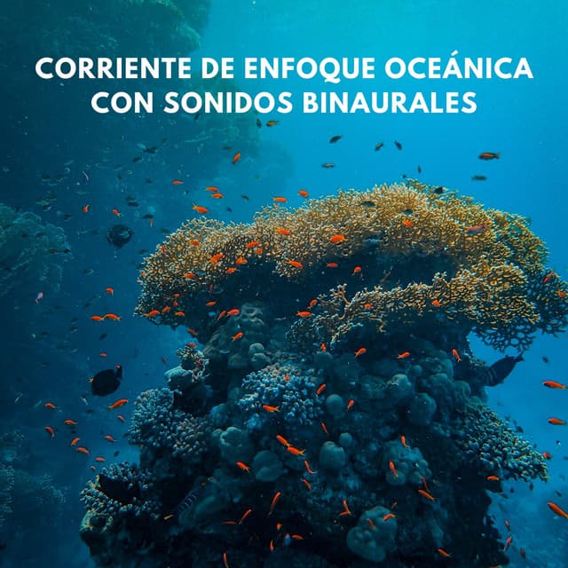 Corriente De Enfoque Oceánica Con Sonidos Binaurales - Ondas Alfa Puras