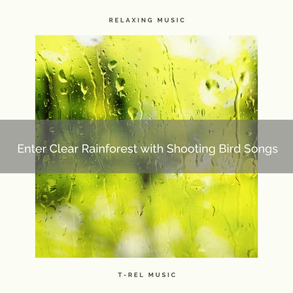 1 Enter Clear Rainforest with Shooting Bird Songs - Deep Rain Sampling