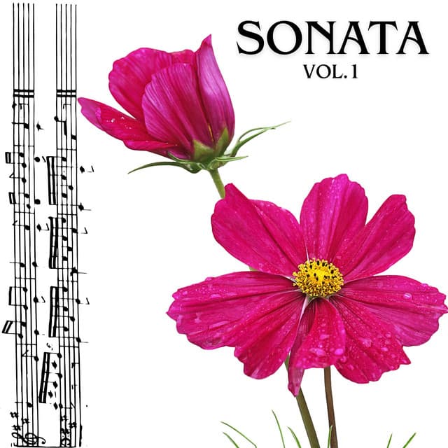 Sonata vol.1 - Ludwig van Beethoven