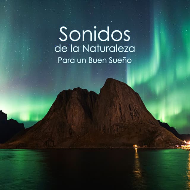 Sonidos de la Naturaleza Para un Buen Sueño: Pájaros Melodía, Gotas de Agua, Relajación de la Naturaleza - Musica Para Dormir Profundamente
