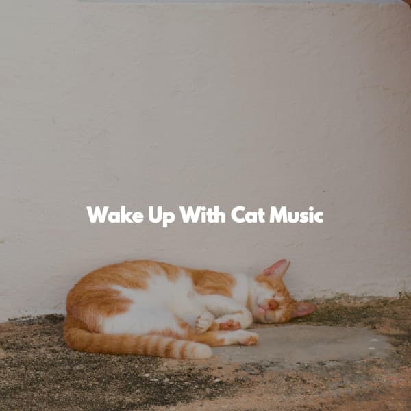 Wake Up With Cat Music - Jazz Trio
