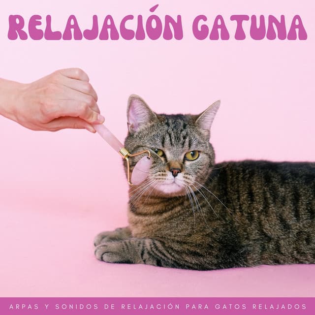 Relajación Gatuna: Arpas Y Sonidos De Relajación Para Gatos Relajados - Descansar Musica