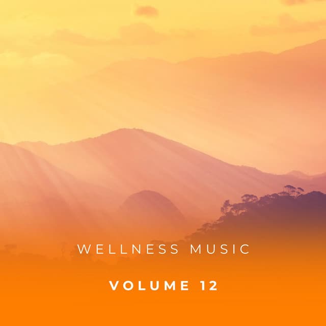Wellness Music Vol. 12 - Zen Music Garden