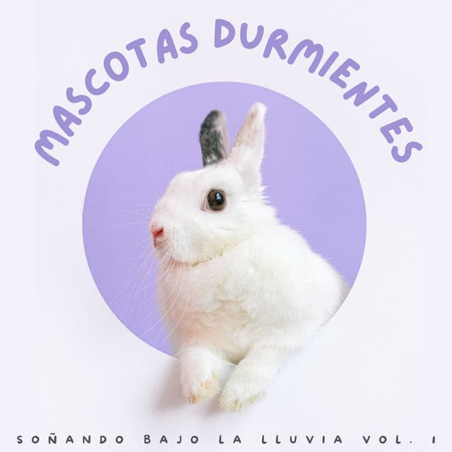 Mascotas Durmientes: Soñando Bajo La Lluvia Vol. 1 - Fábrica de Sonidos de Lluvia STHLM