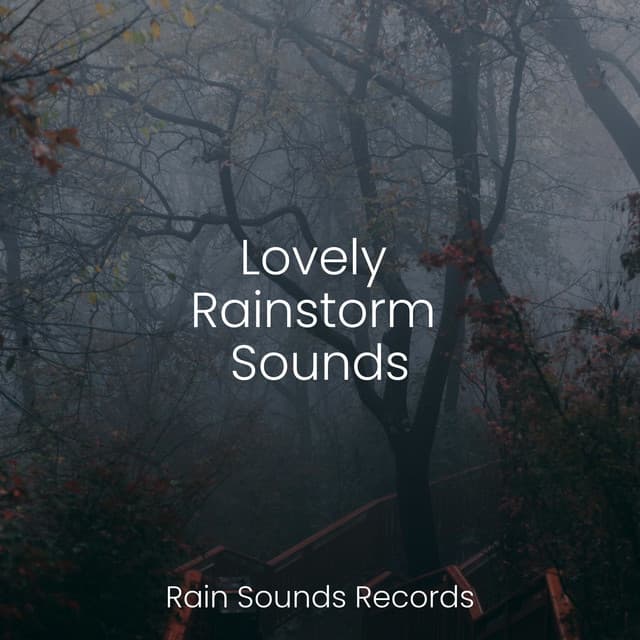 Lovely Rainstorm Sounds - Relaxing Rain Sounds