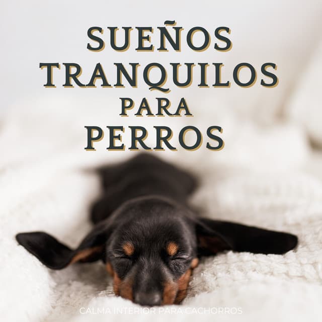 Sueños Tranquilos Para Perros: Calma Interior Para Cachorros - Aire relajante