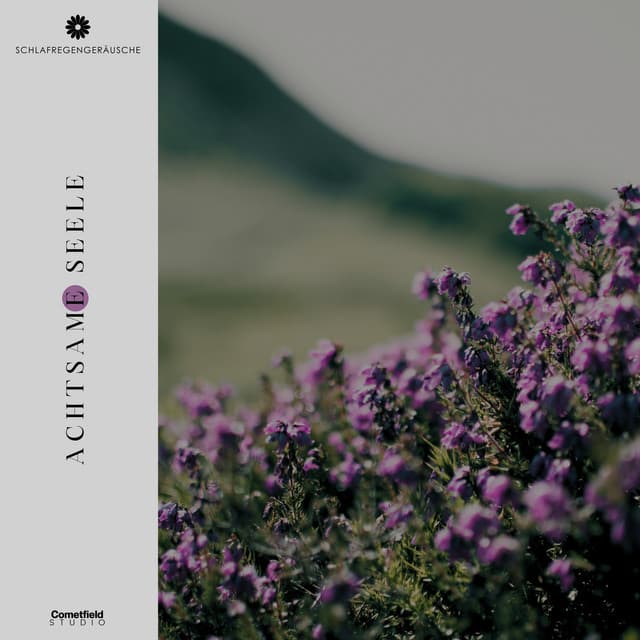 Achtsame Seele - Schlafregengeräusche