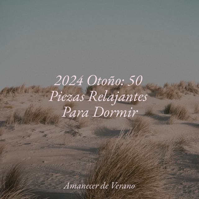 2024 Otoño: 50 Piezas Relajantes Para Dormir - Musica Relajante & Yoga