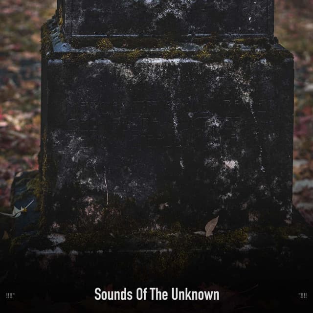 !!!!" Sounds Of The Unknown "!!!! - The Citizens of Halloween