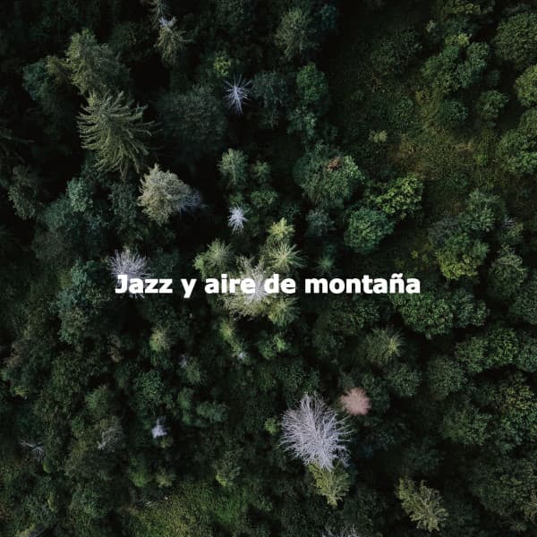 Jazz y aire de montaña - Concentration Study Music