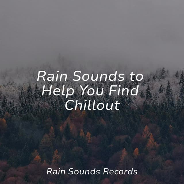 Rain Sounds to Help You Find Chillout - Bird Sounds