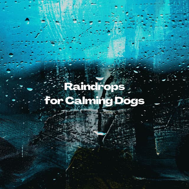 Raindrops for Calming Dogs - Rain Wonder