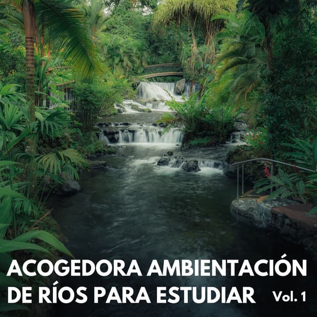 Acogedora Ambientación De Ríos Para Estudiar Vol. 1 - Cascada ruido blanco
