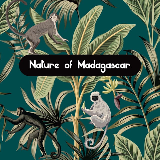 Nature of Madagascar - Listen the Sounds of the Rainforest and Exotic Animals Like Elephants, Monkeys, Parrots, Crocodiles and More - Natural Sounds Music Academy