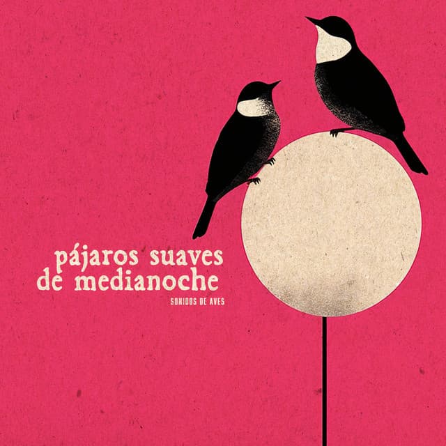 Pájaros Suaves de Medianoche - Sonidos De Aves