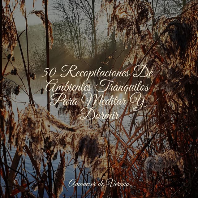 50 Recopilaciones De Ambientes Tranquilos Para Meditar Y Dormir - Música a Relajarse