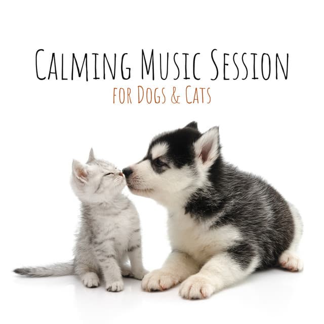 Calming Music Session for Dogs & Cats - Treating Anxiety & Insomnia, Relieving Stress, Pet Therapy, Pet Care, Soft Instrumental Flute, Guitar & Piano Melodies, Soothing Sounds of Nature - Pet Music Doctor