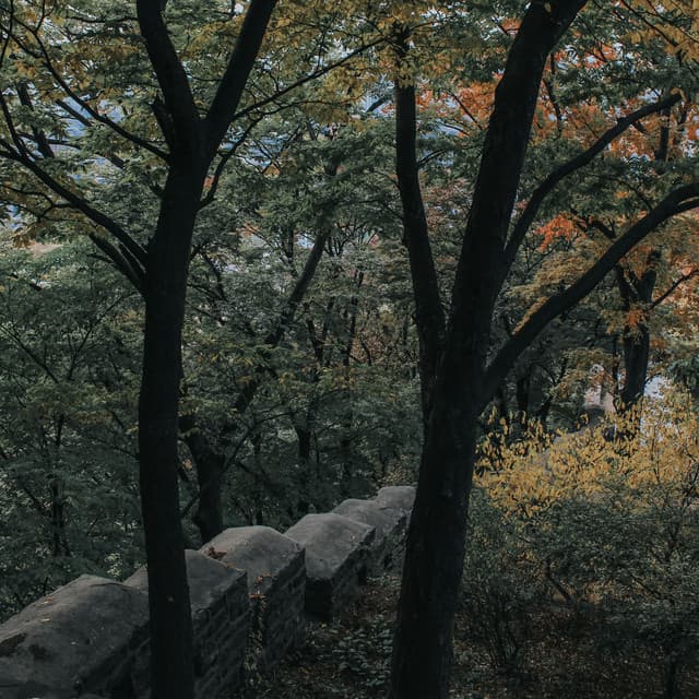 Serene Sounds | Spa & Serenity - The Sleep Helpers