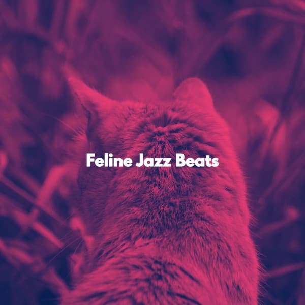Feline Jazz Beats - Easy Listening Work Music