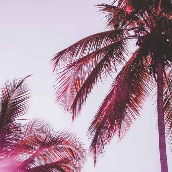 Relaxing Backdrop for Golden Yesterday - Chill Out Dinner Jazz