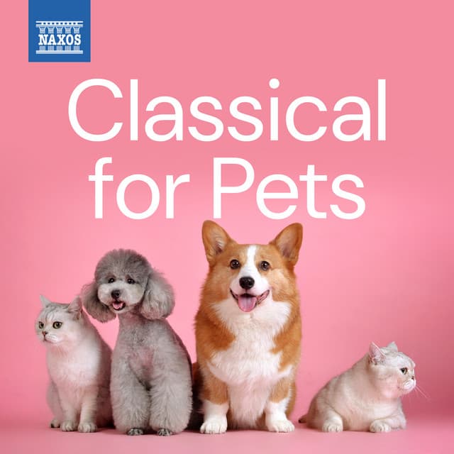 Classical for Pets - Sergei Rachmaninoff