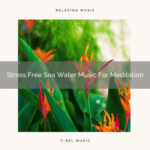 Stress Free Sea Water Music For Meditation - Perfect Meditation