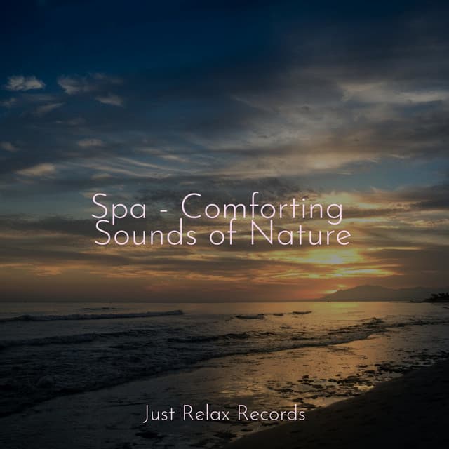 Spa - Comforting Sounds of Nature - Chakra Balancing Sound Therapy