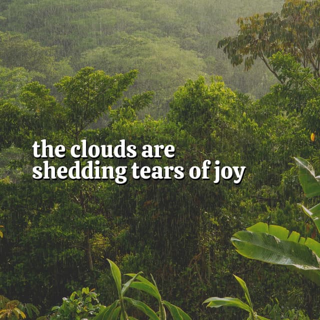 The Clouds Are Shedding Tears of Joy - Loopable Rain Sounds