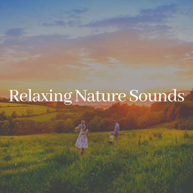 Relaxing Nature Sounds - Nature Sounds