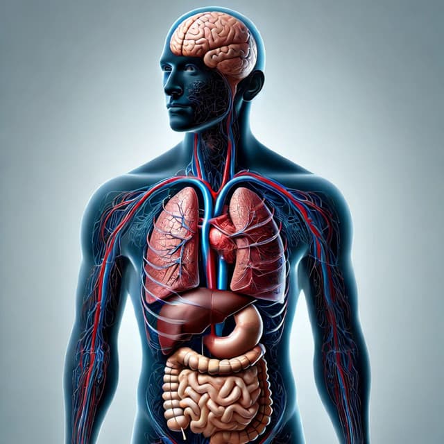 Strengthen Lymphatic Circulatory System: Remove Toxins - Healing Spiritual Frequencies
