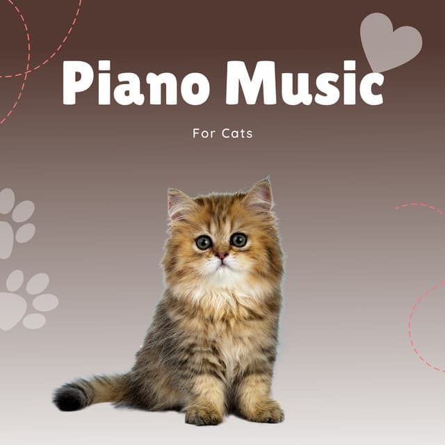 Piano Music For Cats - Pet Music Therapy