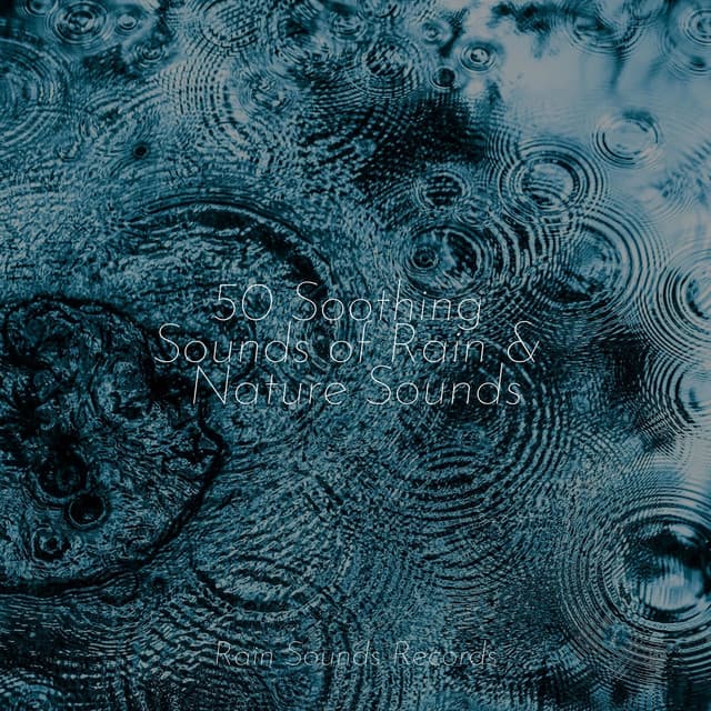 50 Soothing Sounds of Rain & Nature Sounds - Massage Therapy Music