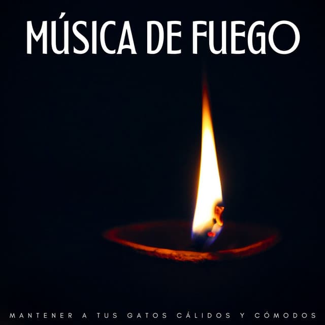Música De Fuego: Mantener A Tus Gatos Cálidos Y Cómodos - Fuego definitivo