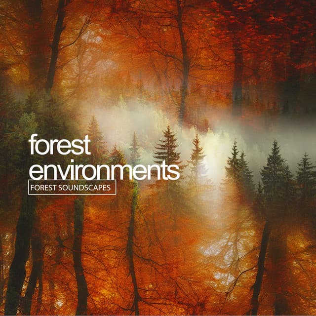 Forest Environments - Forest Soundscapes