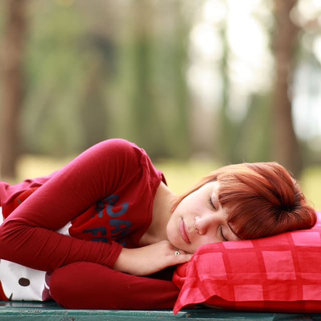 Dreams Under Trees: Nature Forest Lullabies for Sleep - Nature Sounds Library