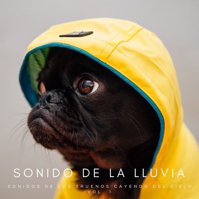 Sonido De La Lluvia: Sonidos De Los Truenos Cayendo Del Cielo Vol. 1 - Calma y Relajación