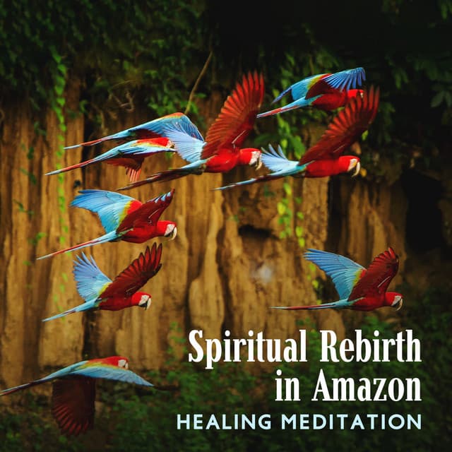 Spiritual Rebirth in Amazon: Healing Meditation with Beautiful Soundscapes, Journey to the Earth Anahata, Deep Tropical Forest Music - Spiritual Healing Music Universe