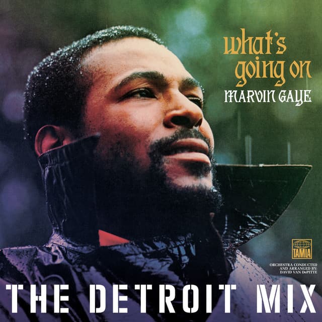 What’s Going On: The Detroit Mix - Marvin Gaye