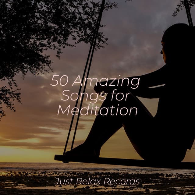 50 Amazing Songs for Meditation - Musica Reiki