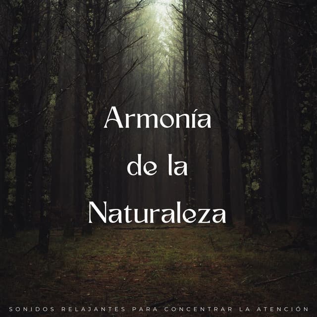 Armonía De La Naturaleza: Sonidos Relajantes Para Concentrar La Atención - Memoria Linda