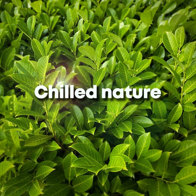 Chilled Nature - Nature Recordings