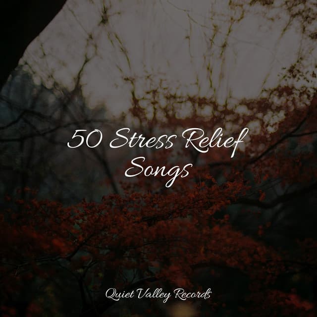 50 Stress Relief Songs - Dr. Meditation