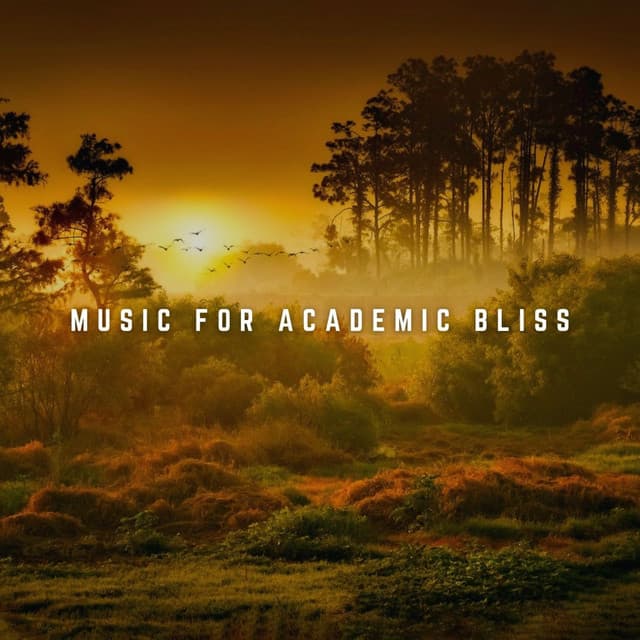 Music for Academic Bliss: Firelight Harmony - Chakra Healing Music