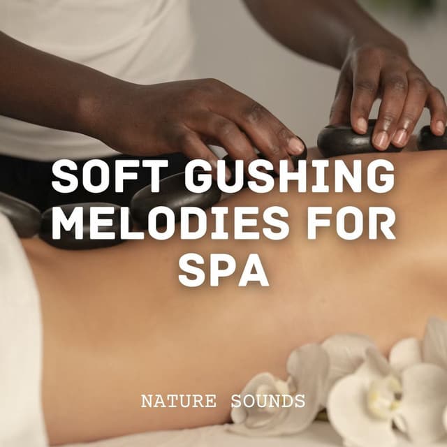 Nature Sounds: Soft Gushing Melodies for Spa - Calm Waves Water