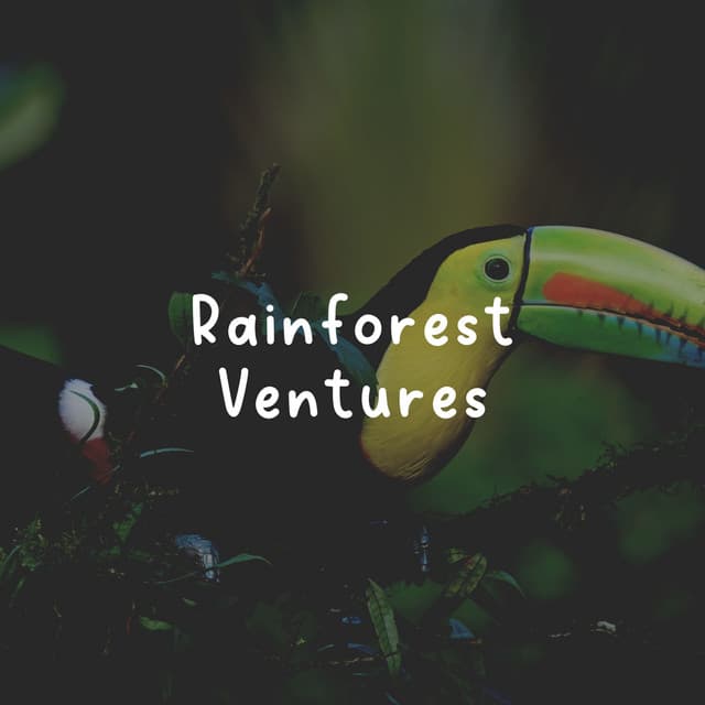 Rainforest Ventures - Rainforest Ambience