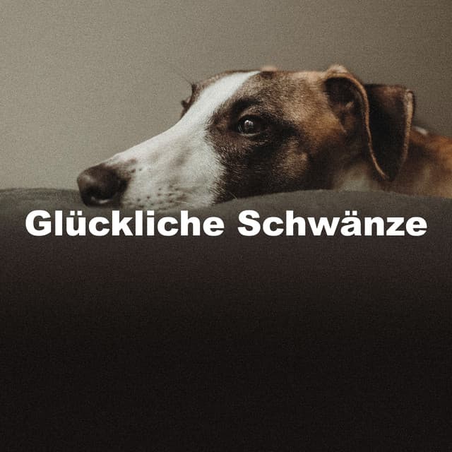 Glückliche Schwänze - Hundemusikk