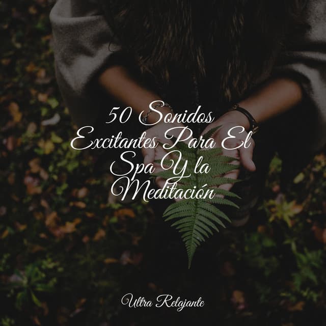 50 Sonidos Excitantes Para El Spa Y la Meditación - Relajación
